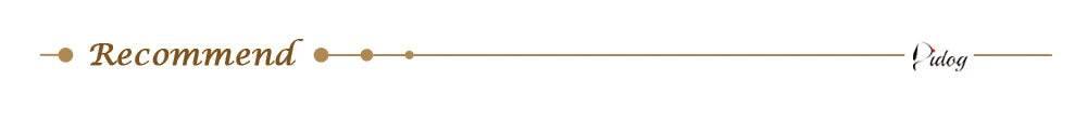 5ft Leather Dog Leash Durable Pet Walking Training Lead Leash Rope for Small Medium Large Dogs Pitbull Pug erman Shepherd - Empire P.E