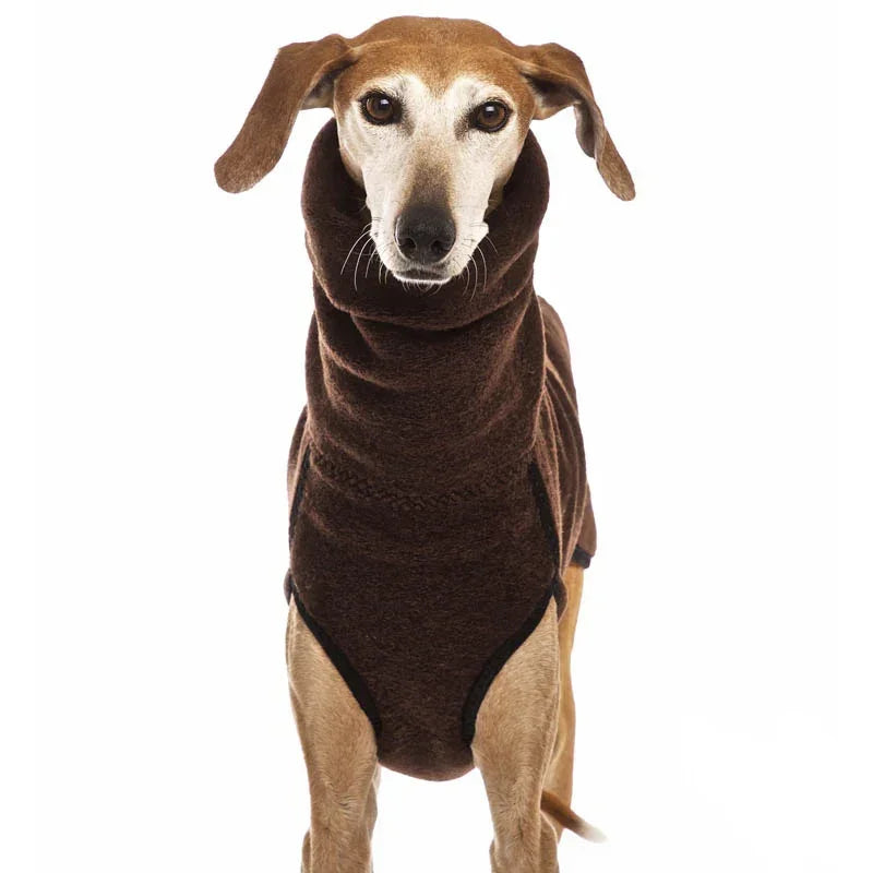 Newest Winter Big Dog Warm High Collar Pet Coat