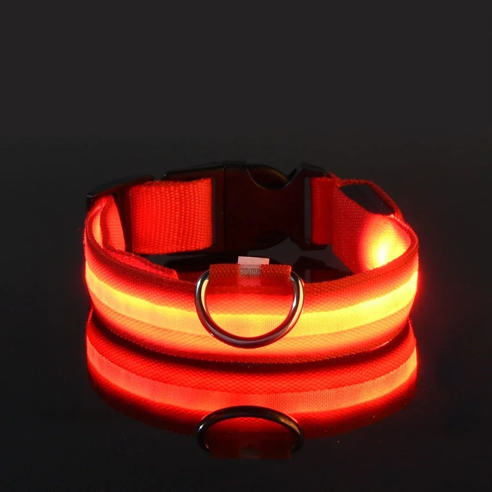 Nylon LED Night Safety Flashing Glow In The Dark Dog Leash - Empire P.E