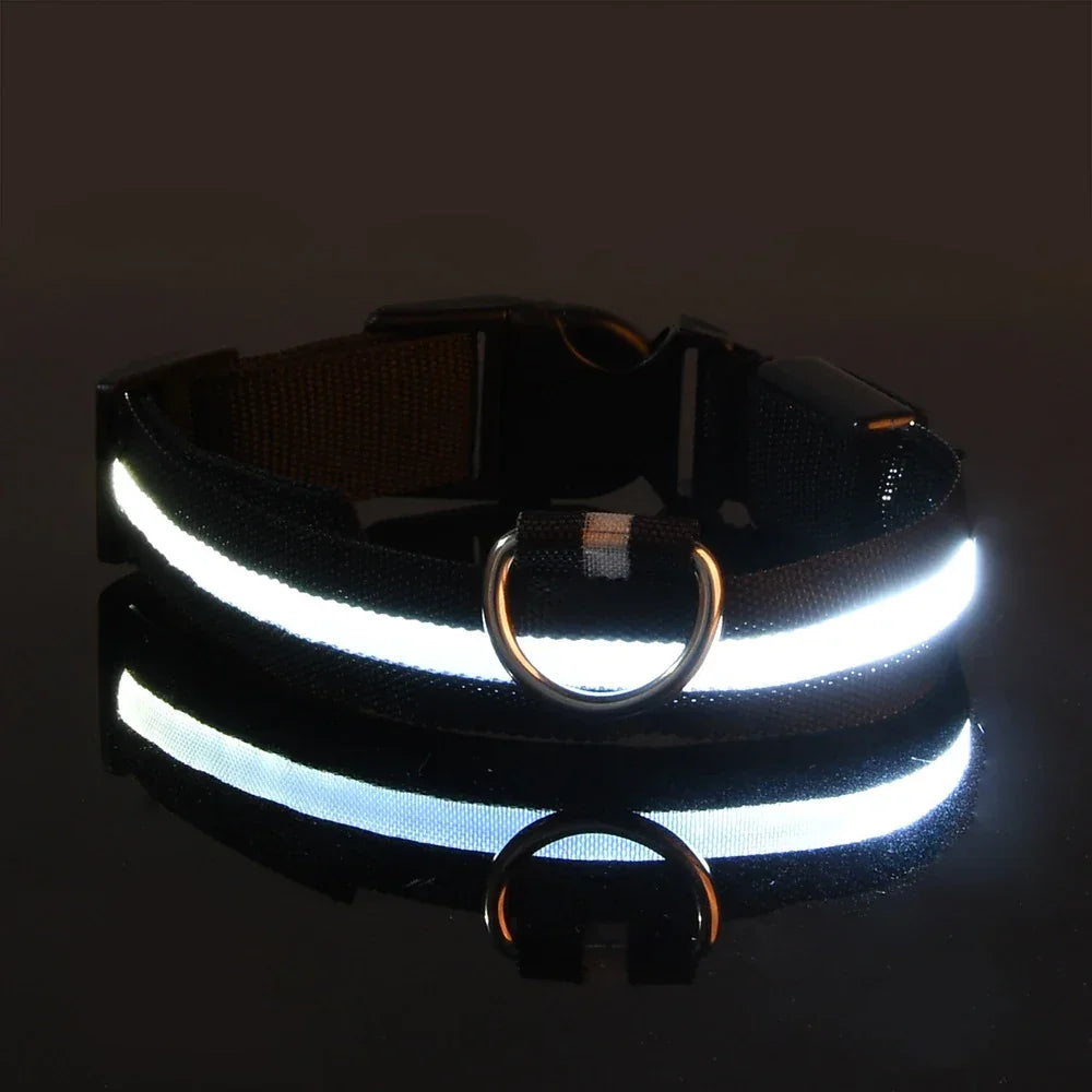 Nylon LED Night Safety Flashing Glow In The Dark Dog Leash - Empire P.E
