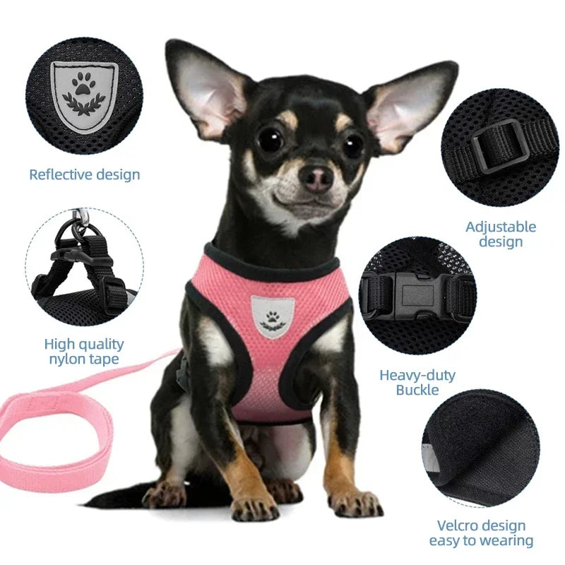Summer Cat Dog Harness Lead Leash Adjustable Vest - Empire P.E