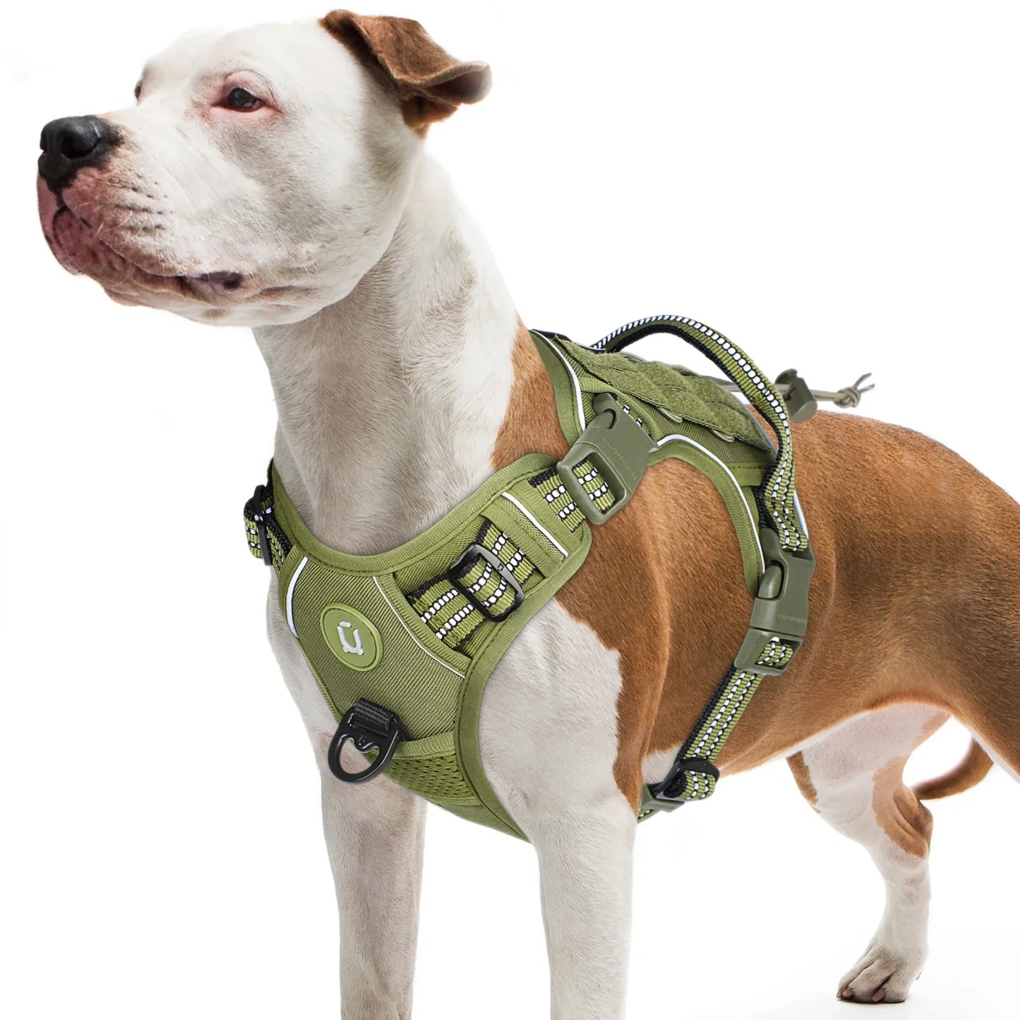 Tactical Dog Harness, No Pull Dog Harness, Adjustable Breathable MOLLE Dog Vest Harness for Medium Large Dog Reflective Military - Empire P.E