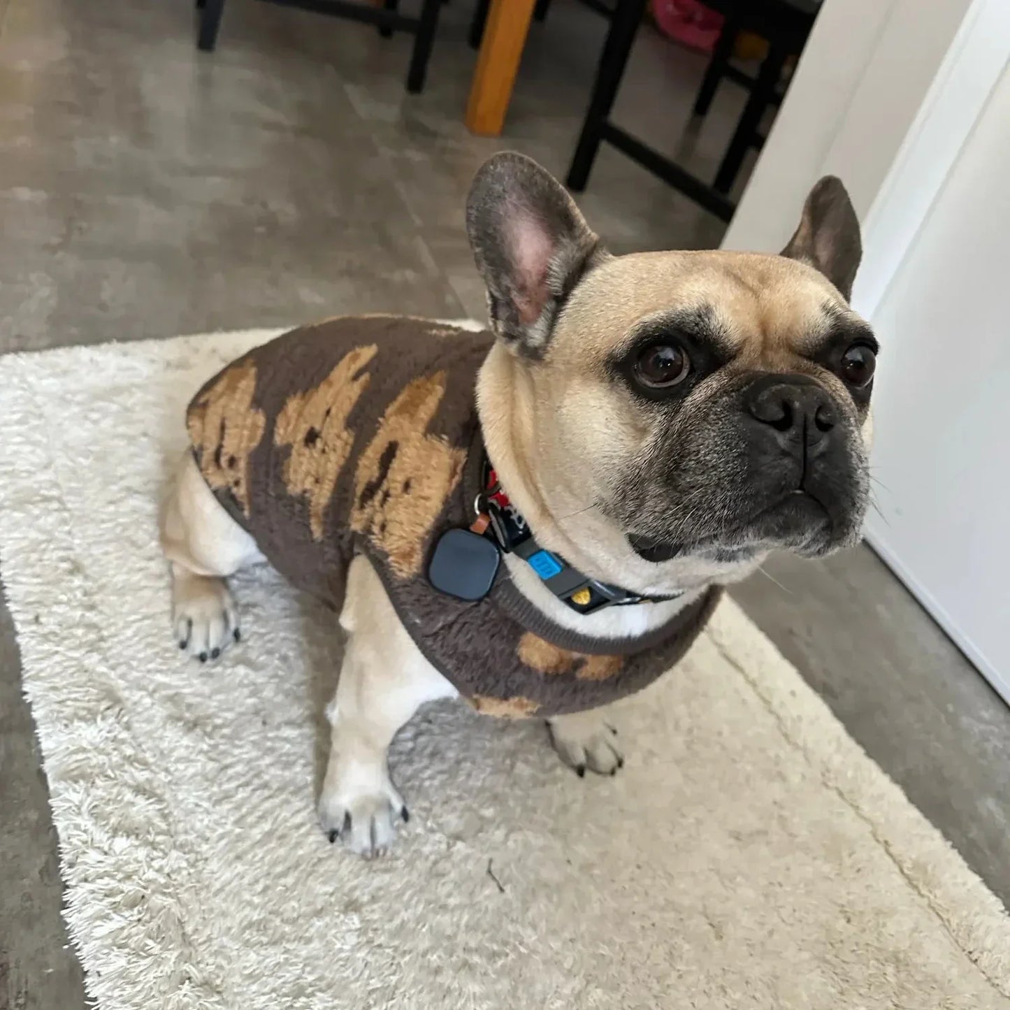 Teddy Bear Pattern Dog Sweater