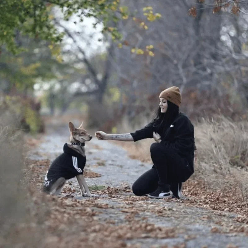 Winter Sport Pet Hoodies