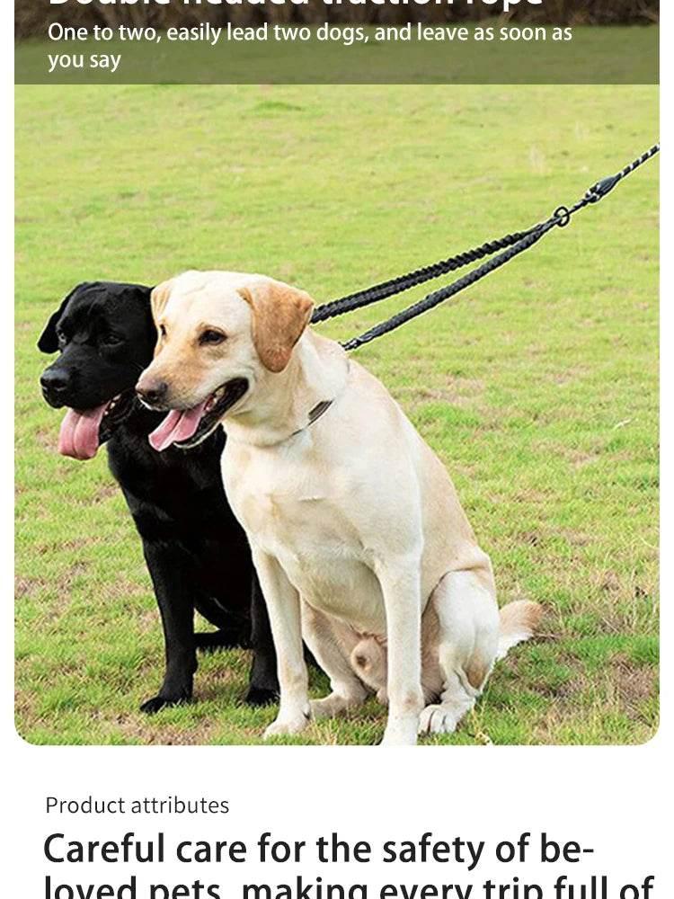Pet Three-head Leash, Can Walk Two Pets At The Same Time, Nylon Retractable Leash Outdoor Car Dog Cat Leash - Empire P.E