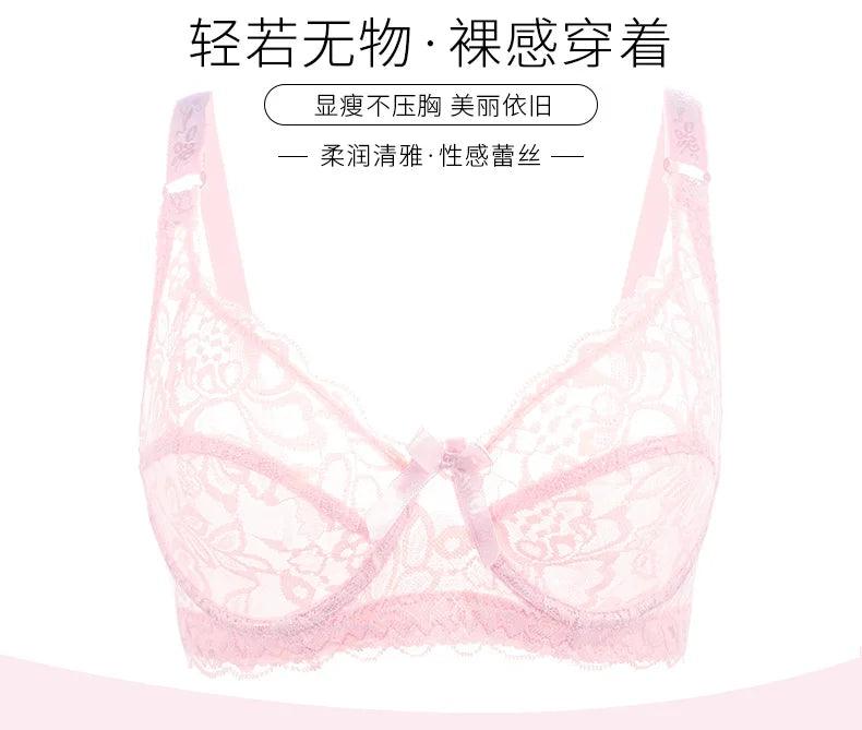 Thin Panty and Briefs Plus Size Women's - Empire P.E