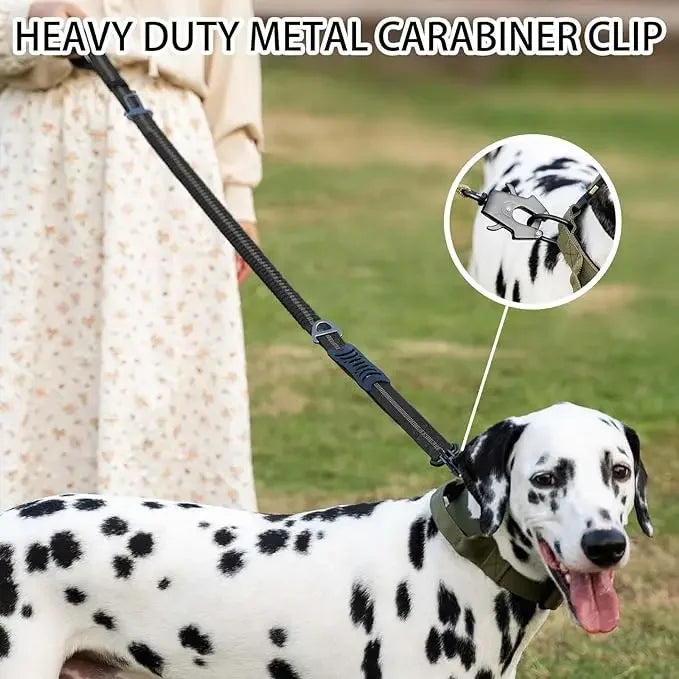 Reflective Shock Absorbing Pet Leashes - Empire P.E