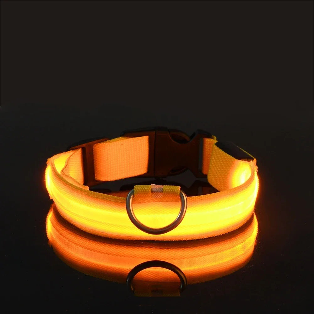 Nylon LED Night Safety Flashing Glow In The Dark Dog Leash - Empire P.E