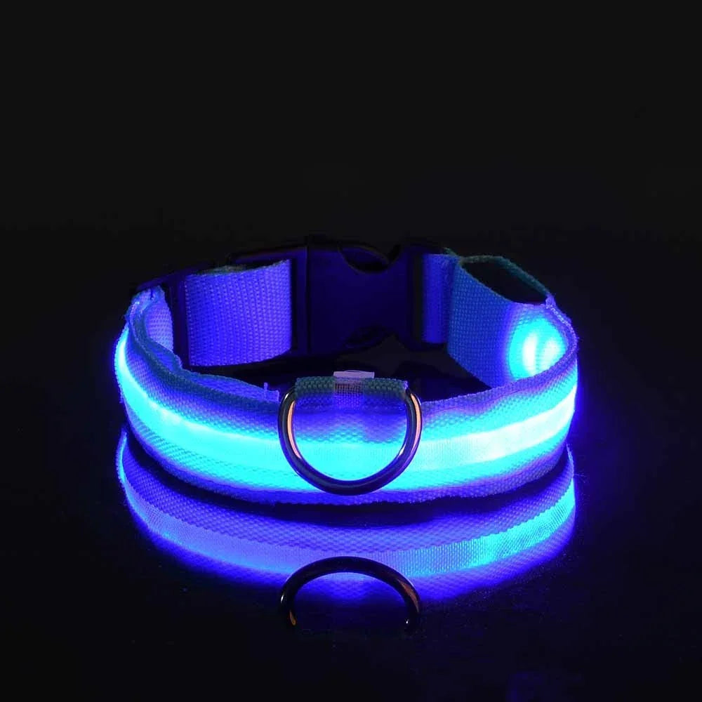 Nylon LED Night Safety Flashing Glow In The Dark Dog Leash - Empire P.E