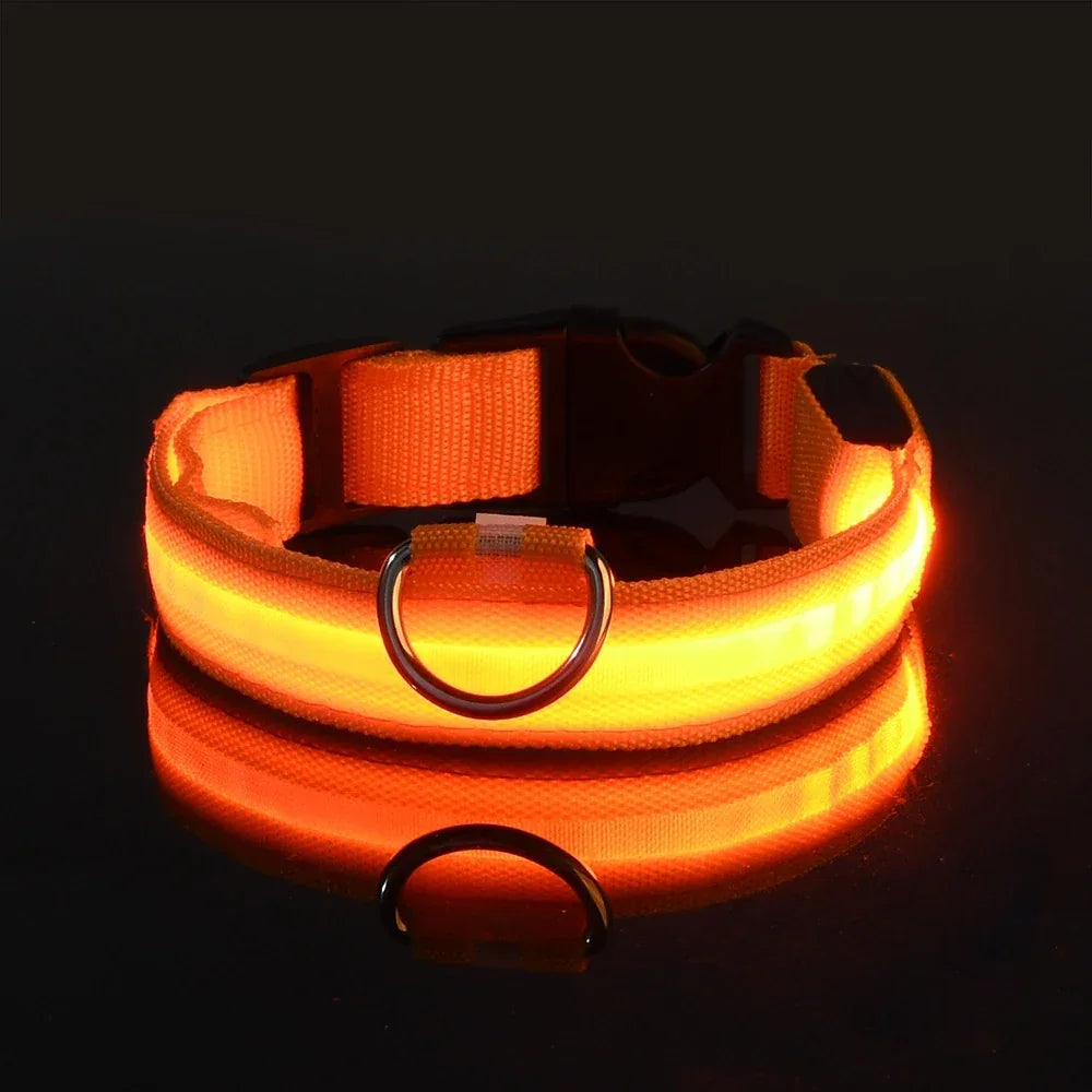 Nylon LED Night Safety Flashing Glow In The Dark Dog Leash - Empire P.E