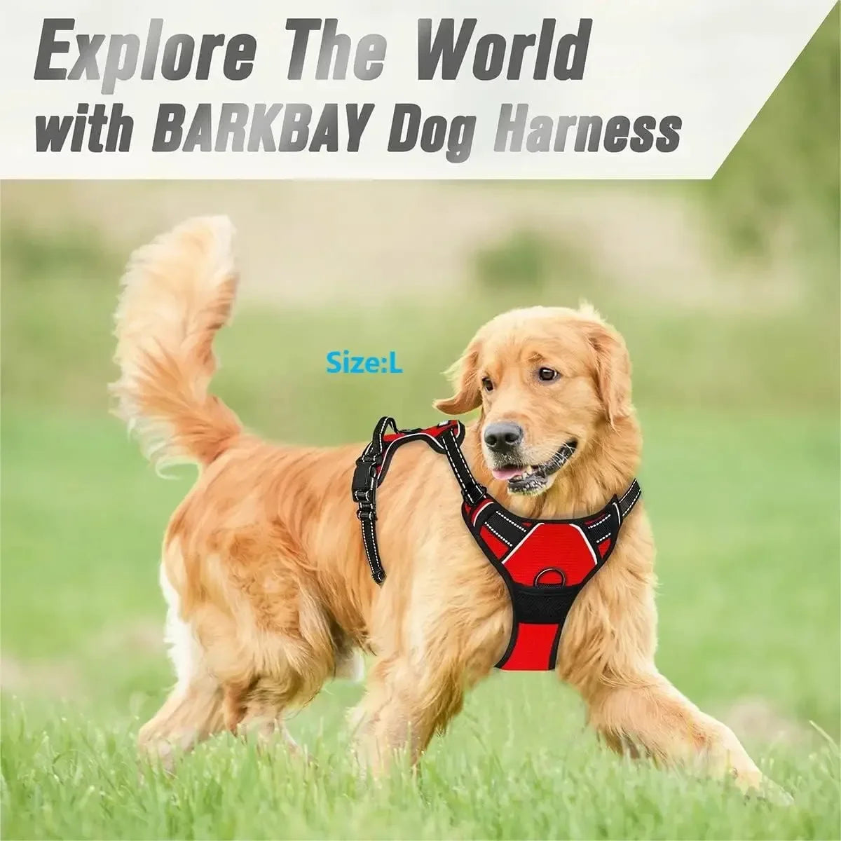 Dog Collars Harness Big Vests - Empire P.E