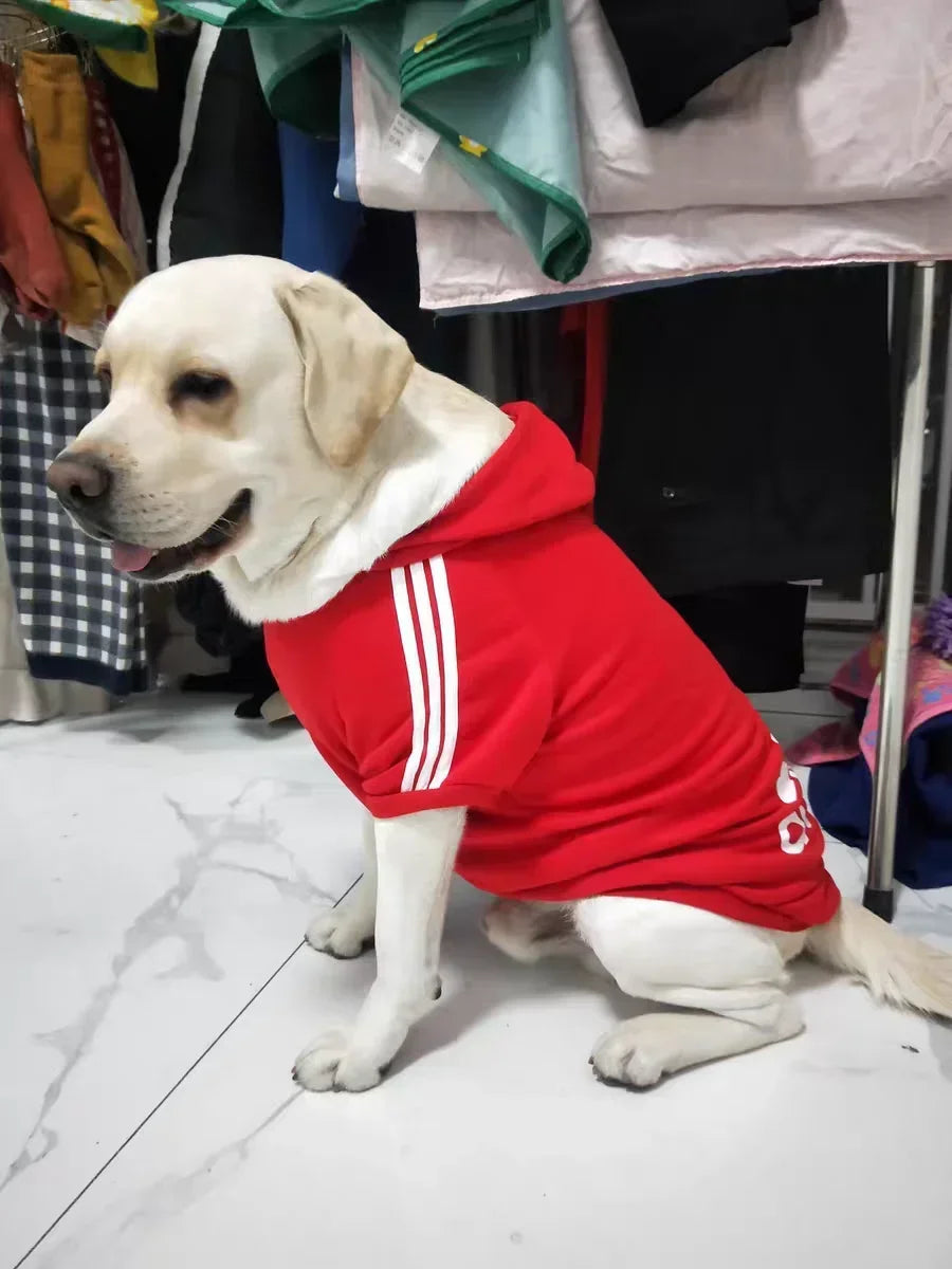 Winter Sport Pet Hoodies
