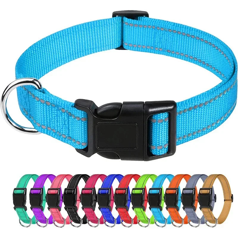 Collars for Dogs Choker Small Dog Collar - Empire P.E