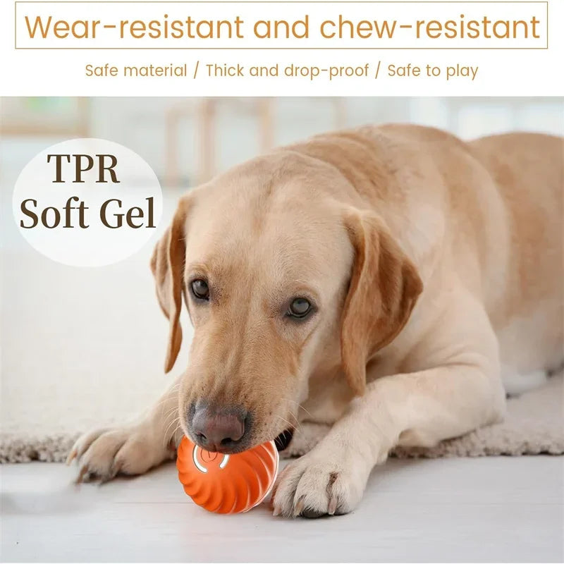 Smart Dog Toy Ball Electronic Interactive Pet Toy Moving Ball USB - Empire P.E