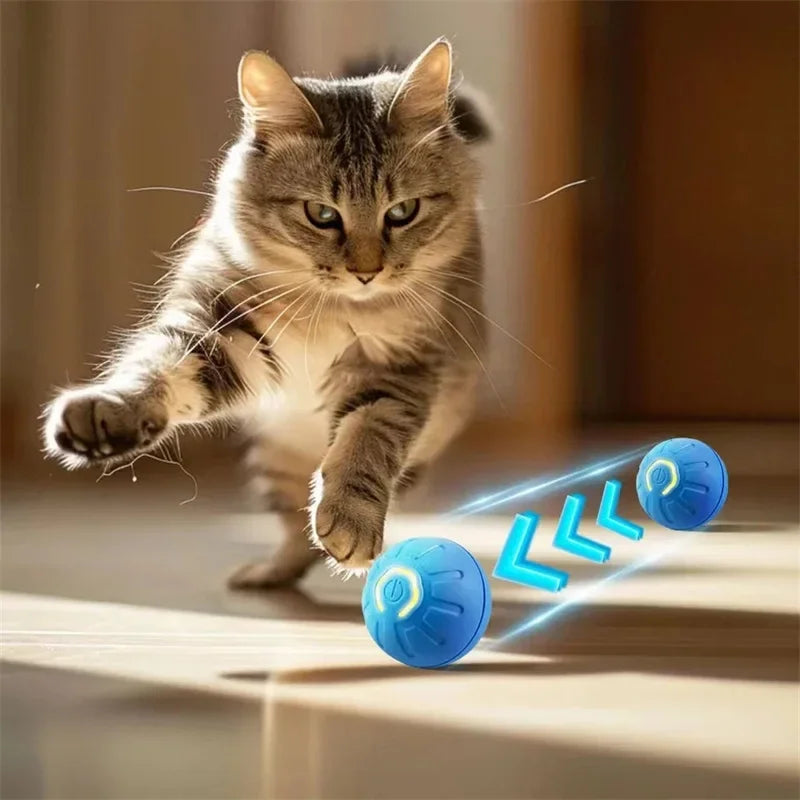 Smart Dog Toy Ball Electronic Interactive Pet Toy Moving Ball USB - Empire P.E