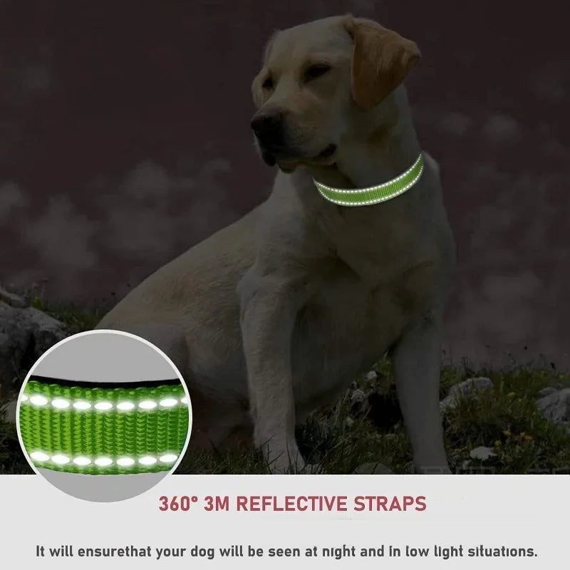 Collars for Dogs Choker Small Dog Collar - Empire P.E