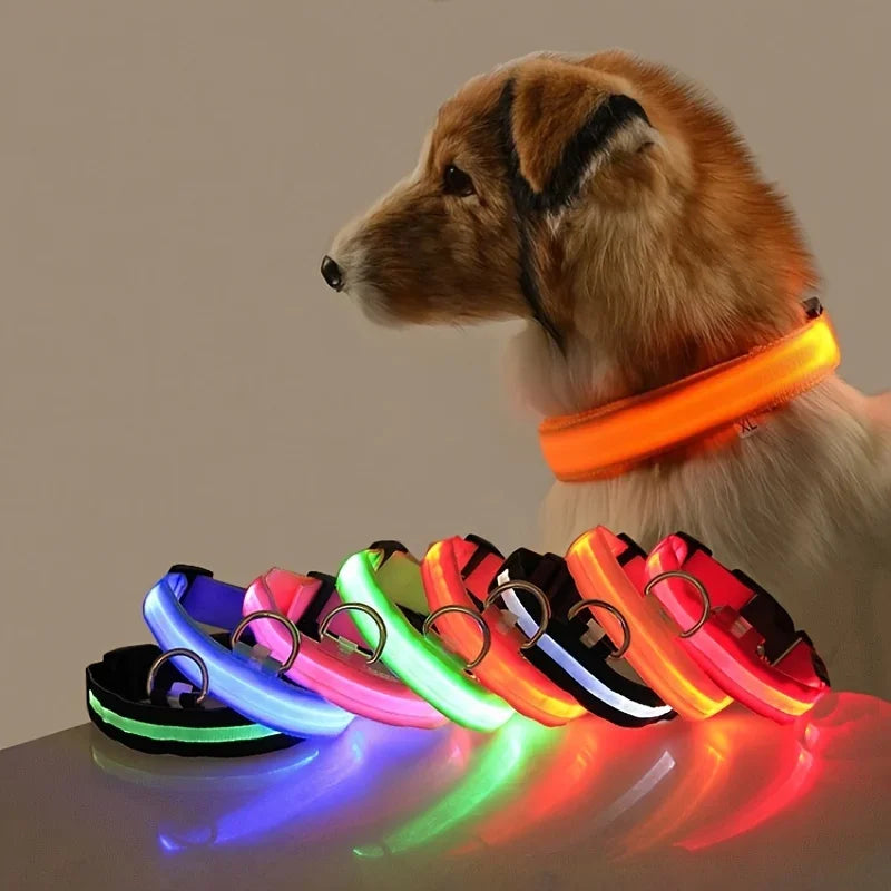 Nylon LED Night Safety Flashing Glow In The Dark Dog Leash - Empire P.E