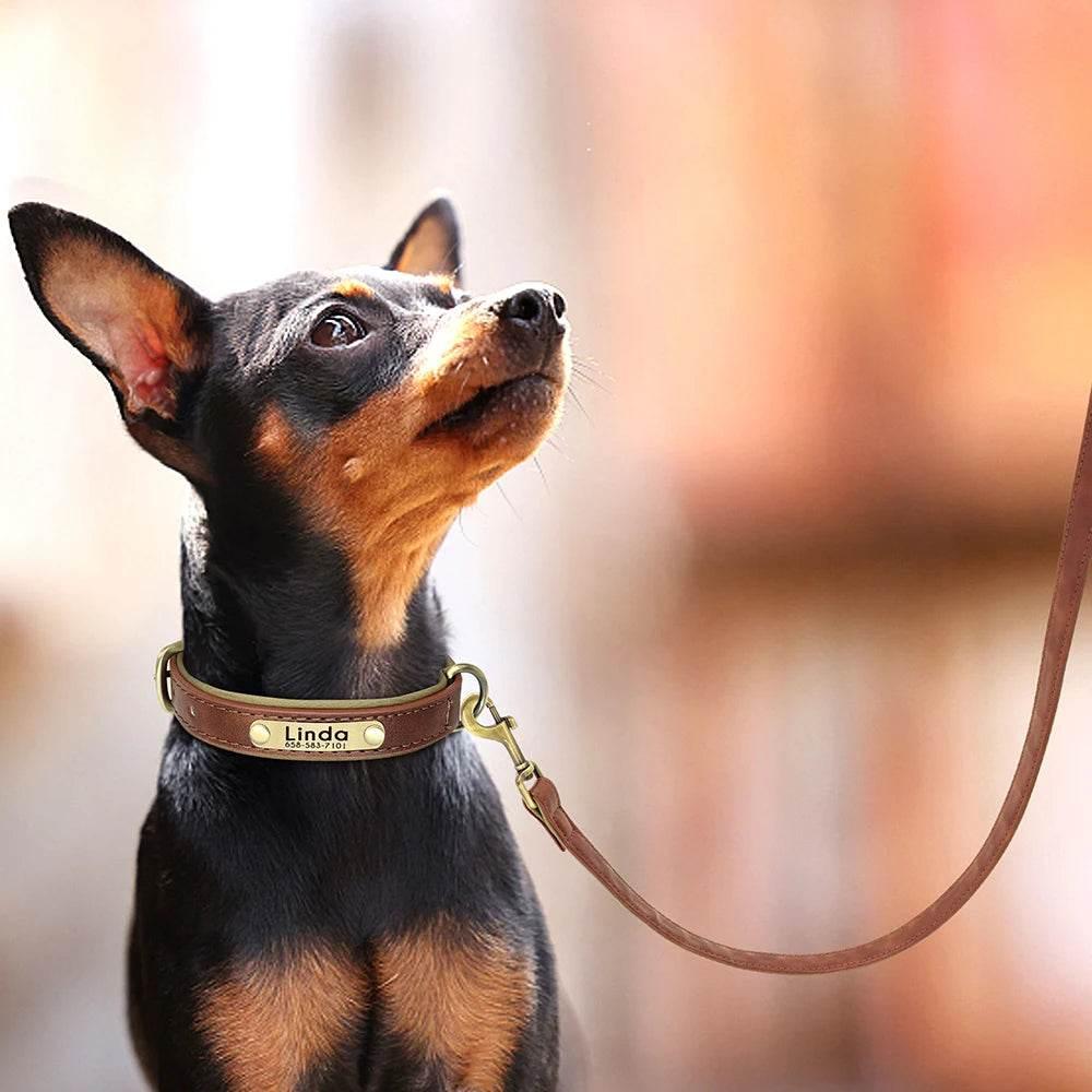 5ft Leather Dog Leash Durable Pet Walking Training Lead Leash Rope for Small Medium Large Dogs Pitbull Pug erman Shepherd - Empire P.E