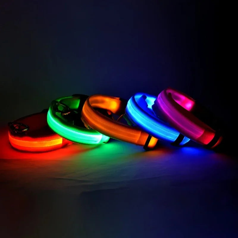 Nylon LED Night Safety Flashing Glow In The Dark Dog Leash - Empire P.E