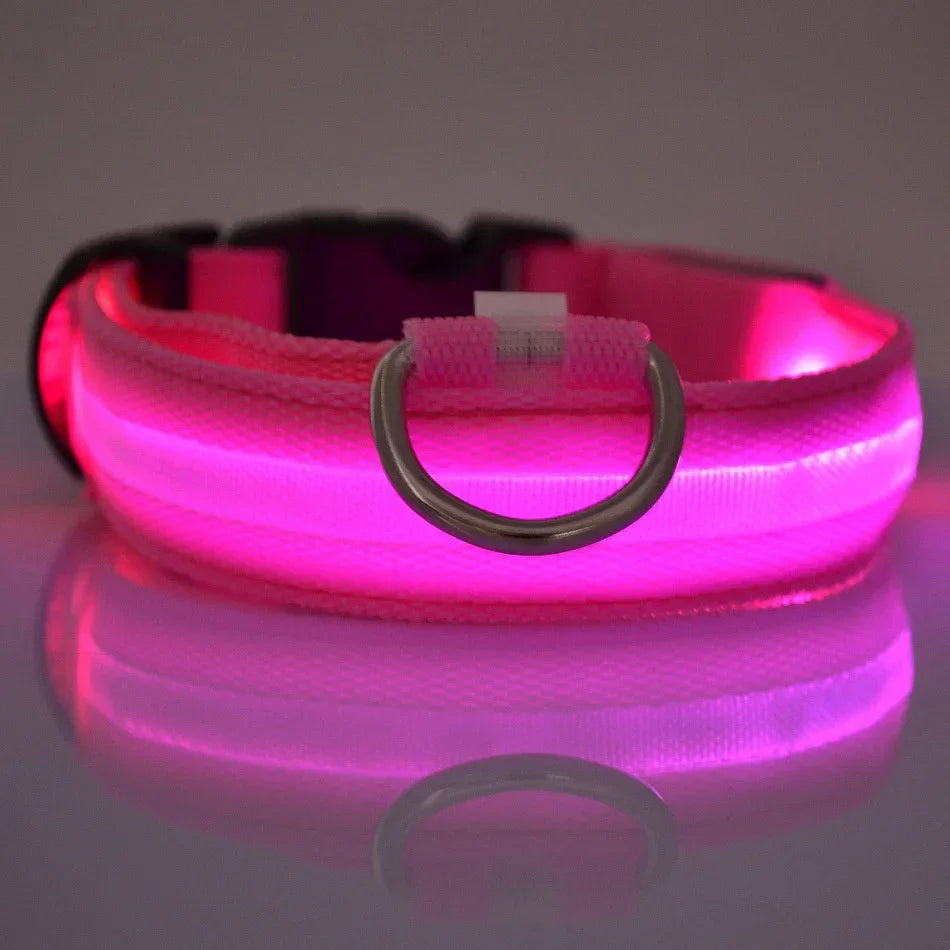 Nylon LED Night Safety Flashing Glow In The Dark Dog Leash - Empire P.E