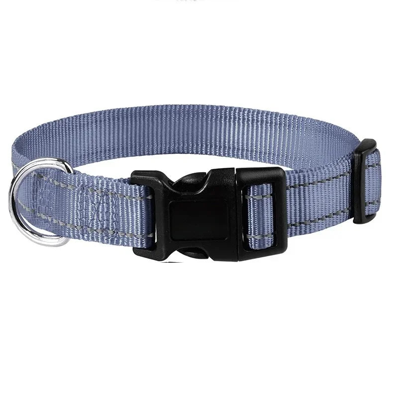 Collars for Dogs Choker Small Dog Collar - Empire P.E