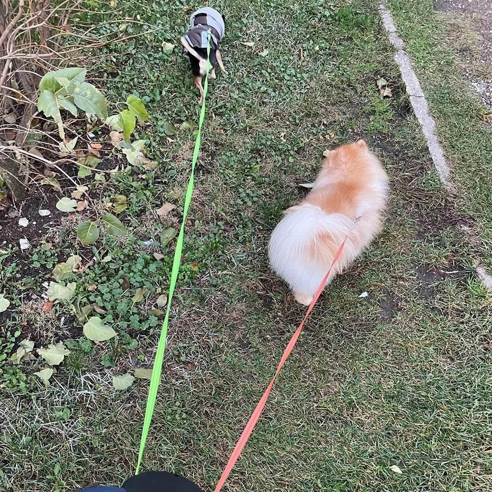 Double dog Leash Light retractable roulette double end leash Portable rotating pet leash for 2 dogs walking pet supplies - Empire P.E