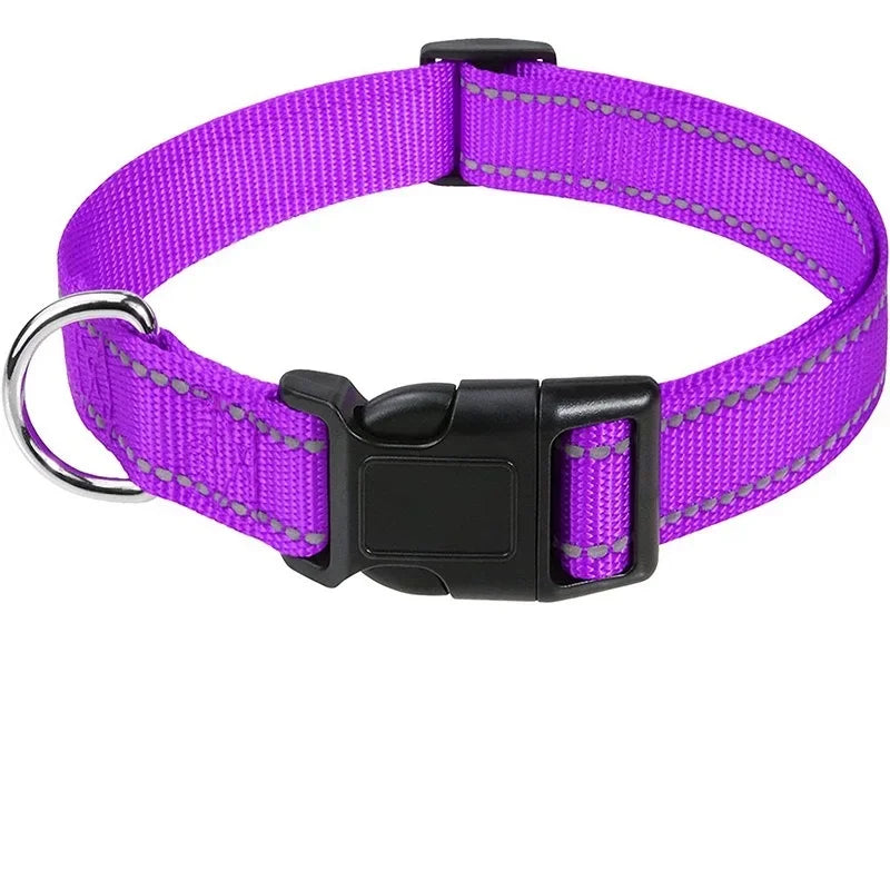 Collars for Dogs Choker Small Dog Collar - Empire P.E