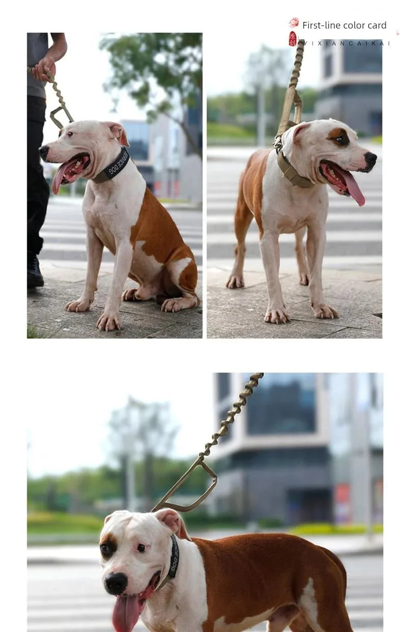 Super Strong Large Dog Collar - Empire P.E