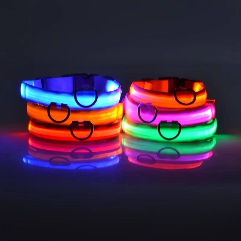 Nylon LED Night Safety Flashing Glow In The Dark Dog Leash - Empire P.E