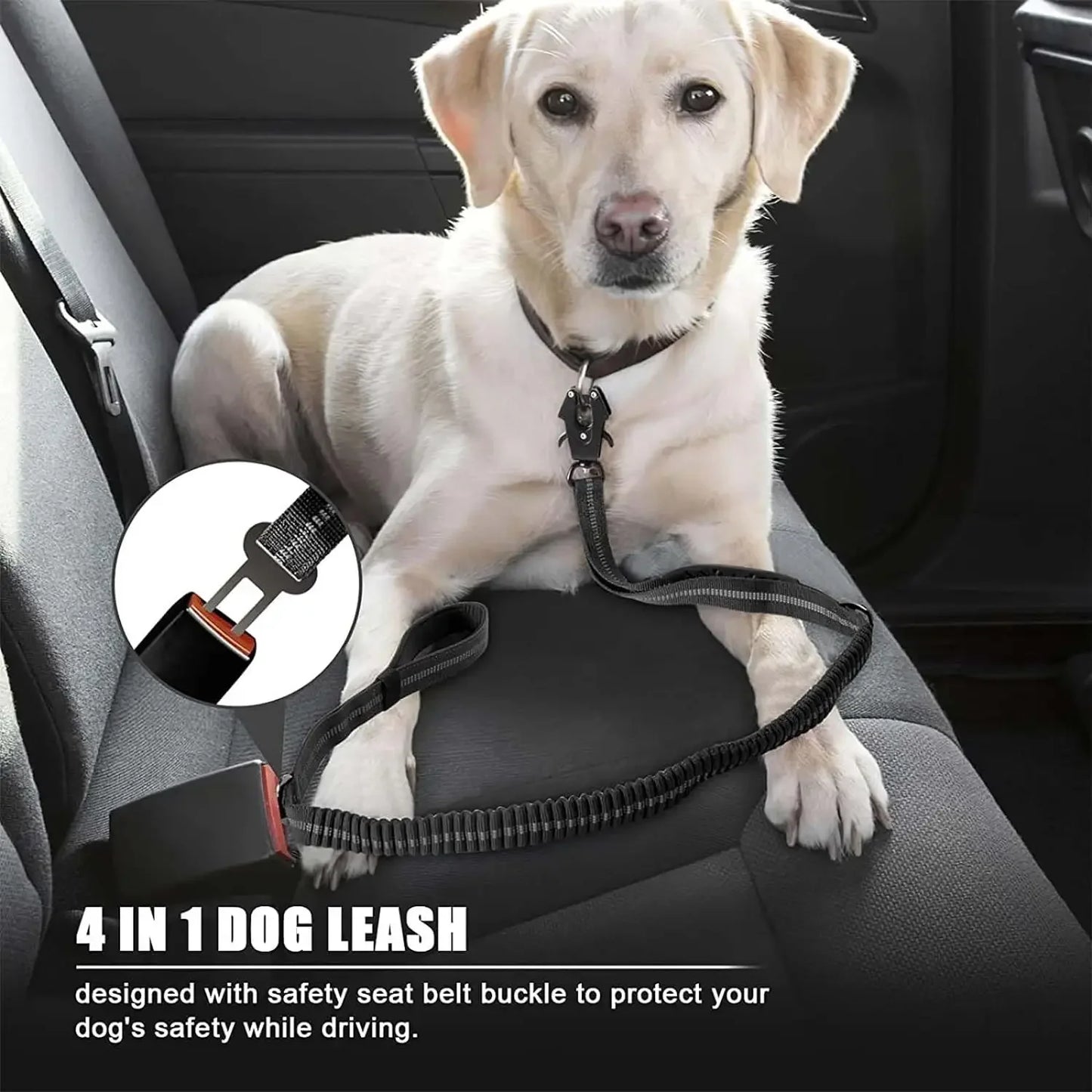 Reflective Shock Absorbing Pet Leashes - Empire P.E