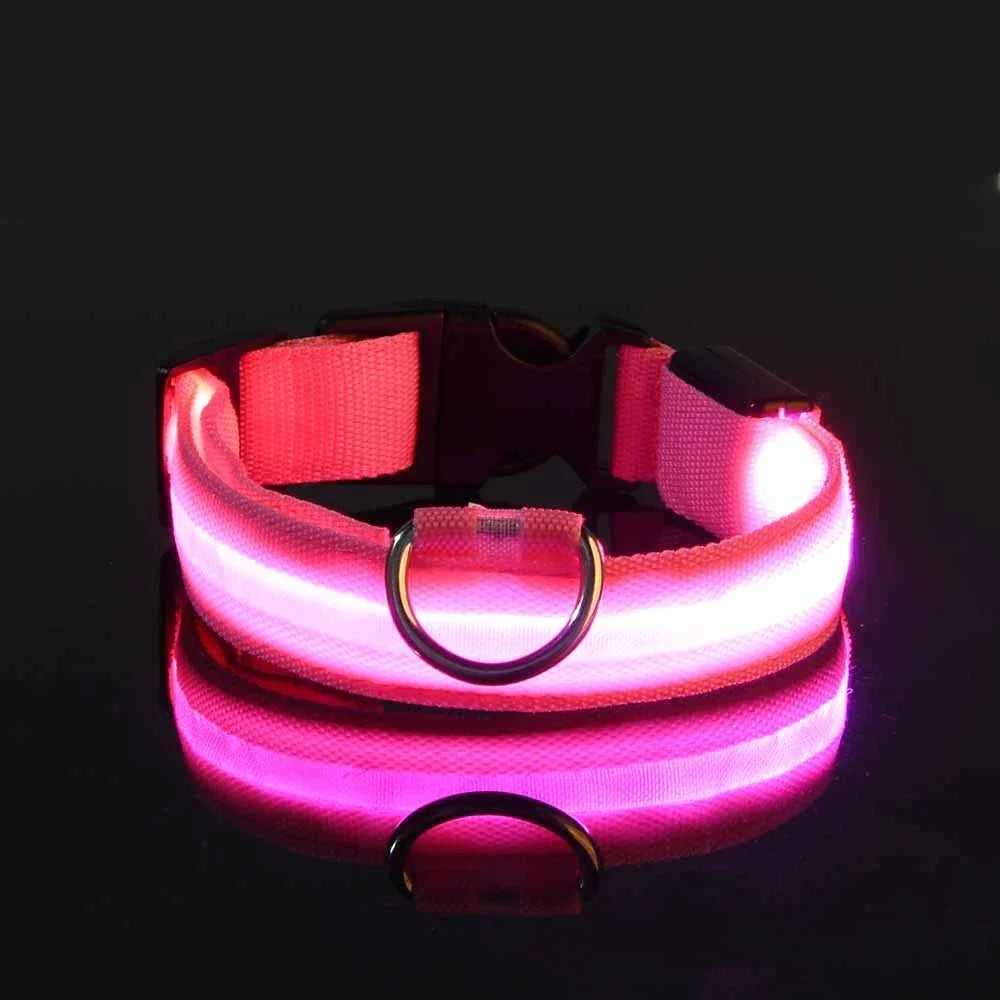 Nylon LED Night Safety Flashing Glow In The Dark Dog Leash - Empire P.E