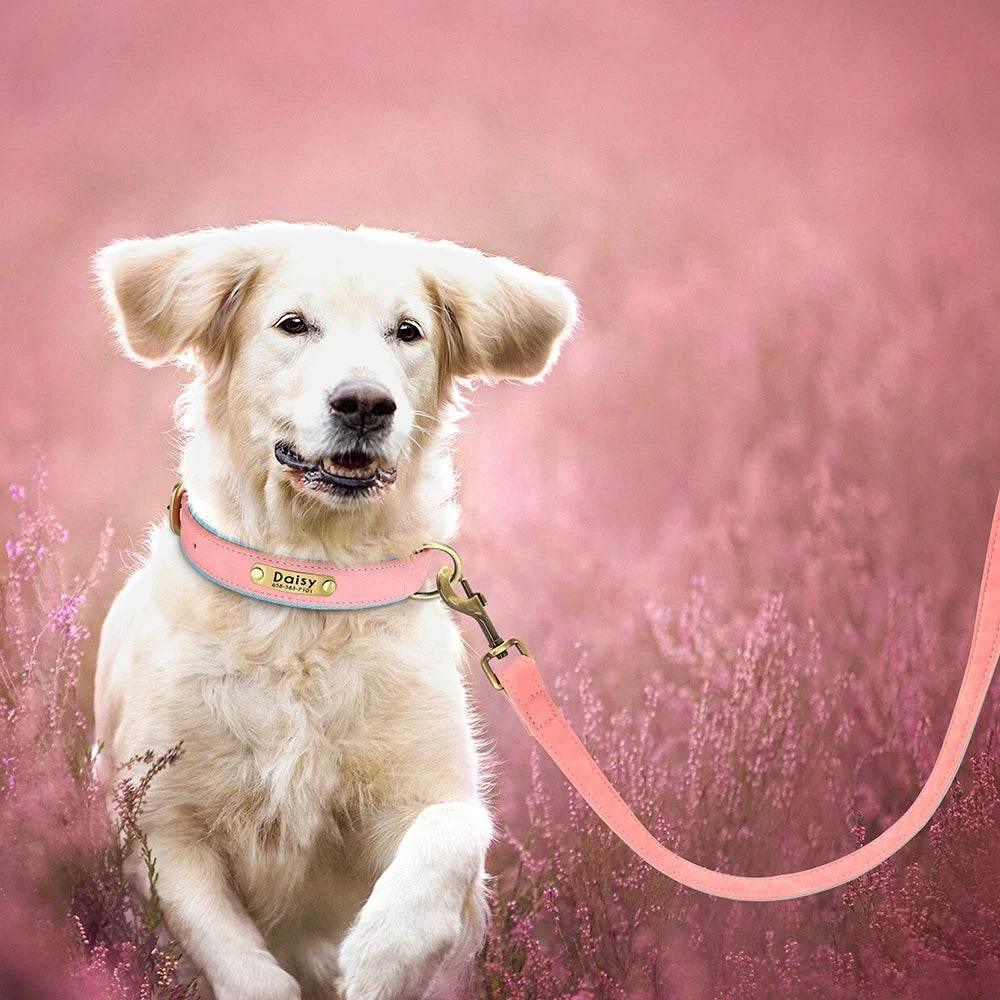 5ft Leather Dog Leash Durable Pet Walking Training Lead Leash Rope for Small Medium Large Dogs Pitbull Pug erman Shepherd - Empire P.E