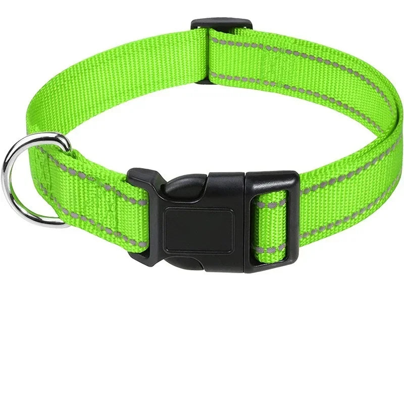 Collars for Dogs Choker Small Dog Collar - Empire P.E