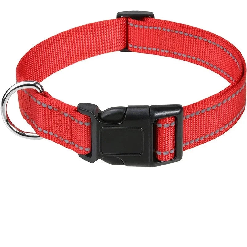 Collars for Dogs Choker Small Dog Collar - Empire P.E