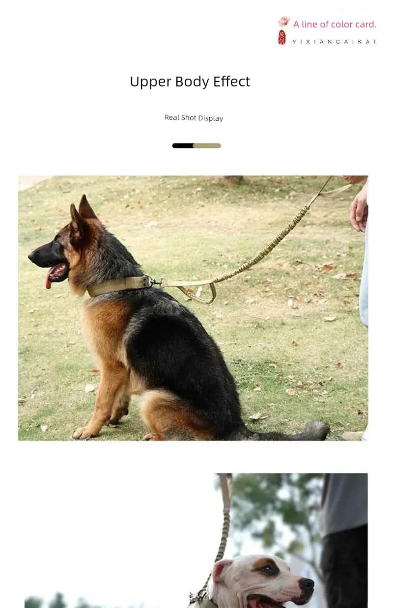 Super Strong Large Dog Collar - Empire P.E
