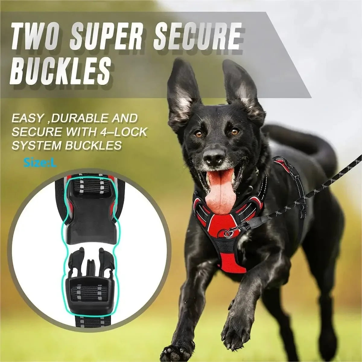 Dog Collars Harness Big Vests - Empire P.E
