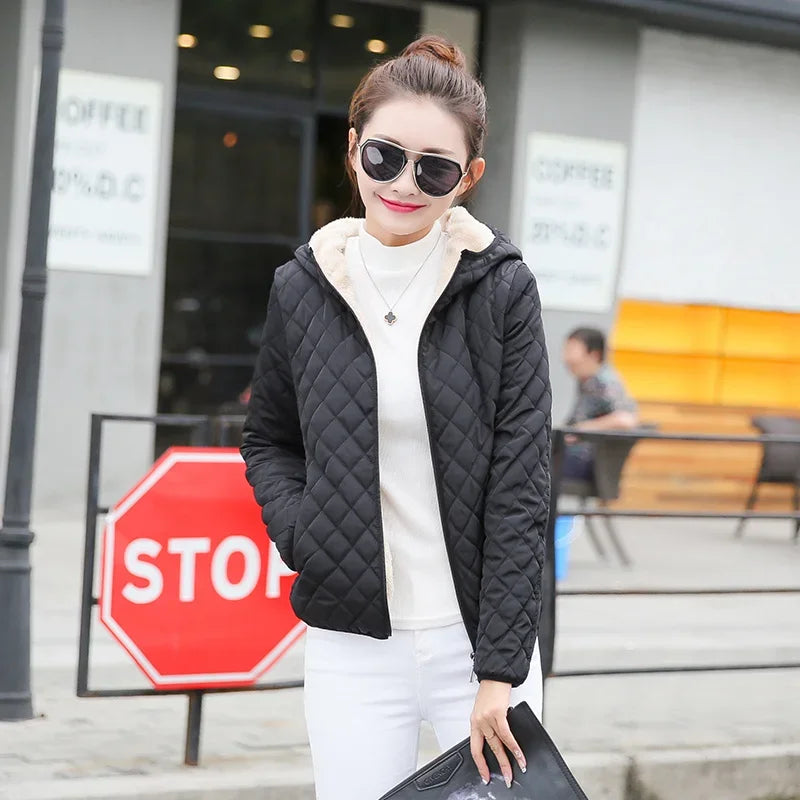 New Women's Warm Cotton Coat - Empire P.E