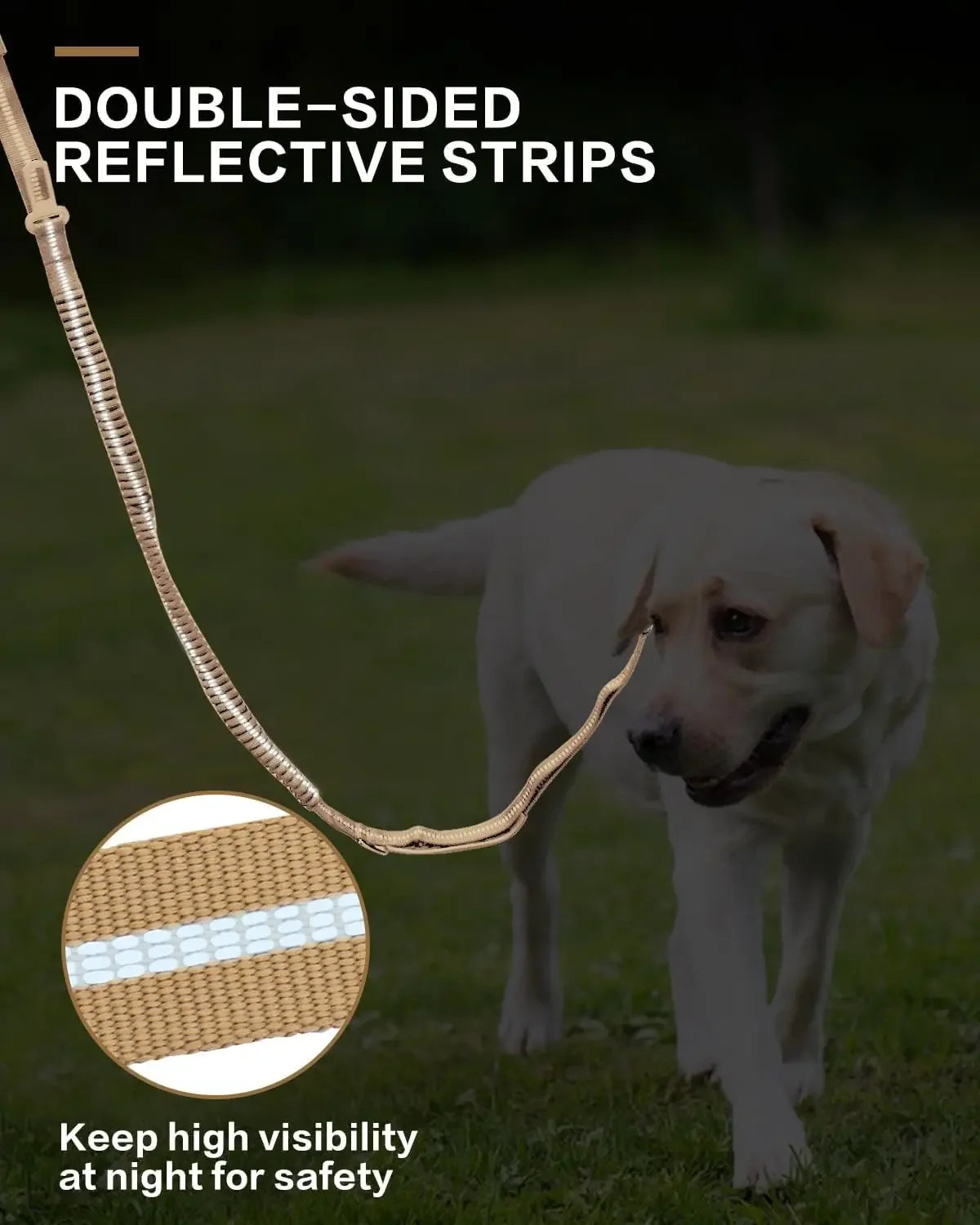 Reflective Shock Absorbing Pet Leashes - Empire P.E