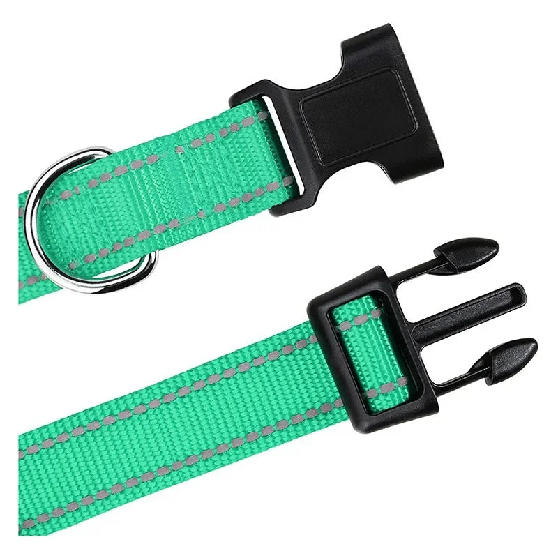 Collars for Dogs Choker Small Dog Collar - Empire P.E