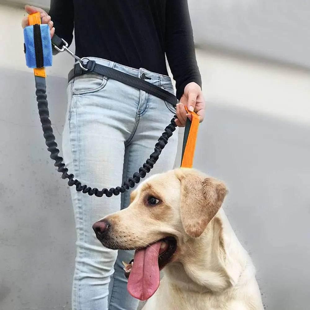 Pet Poop Bag Dispense Portable Adjustable Multifunctional Outdoor Cat and Dog Feces Bag Holder Dispenser Pet Cleaning Tools - Empire P.E