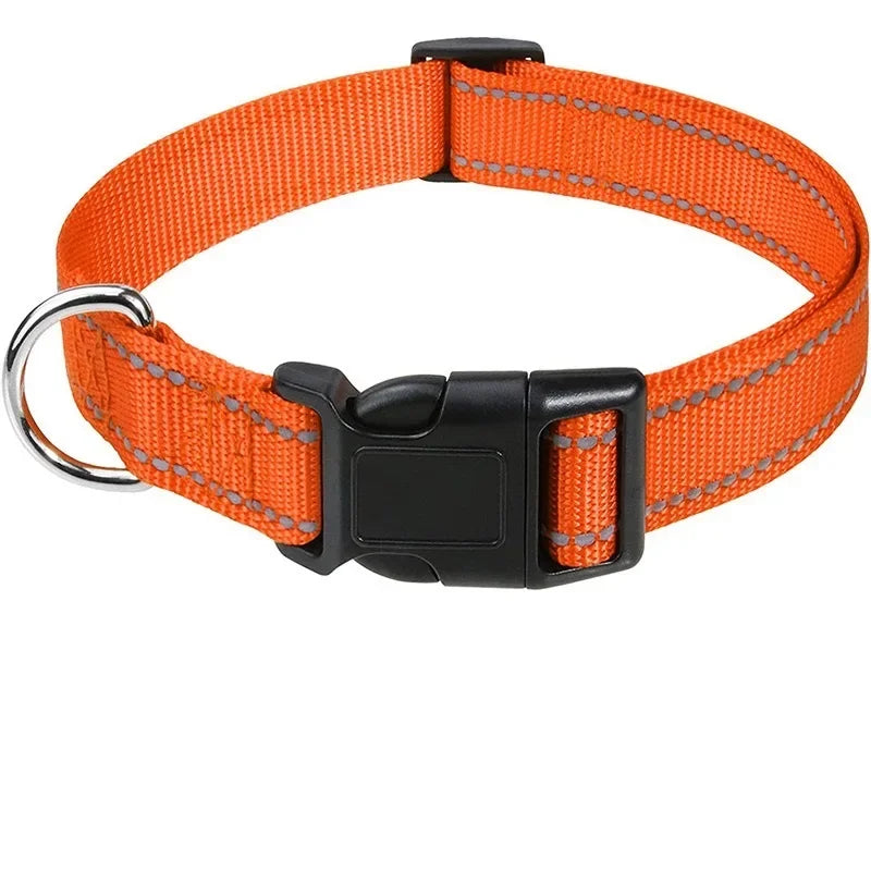 Collars for Dogs Choker Small Dog Collar - Empire P.E