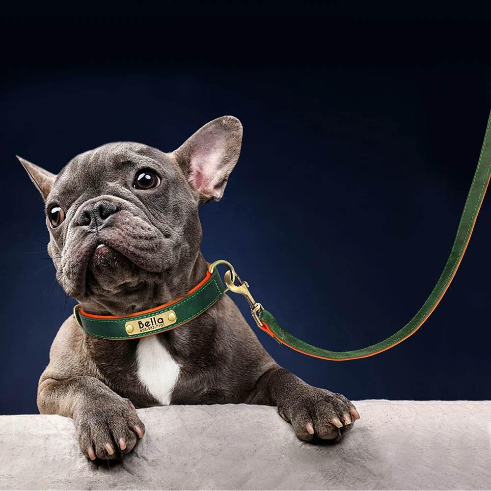 5ft Leather Dog Leash Durable Pet Walking Training Lead Leash Rope for Small Medium Large Dogs Pitbull Pug erman Shepherd - Empire P.E