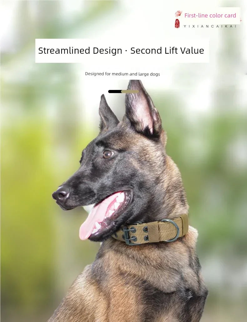 Super Strong Large Dog Collar - Empire P.E