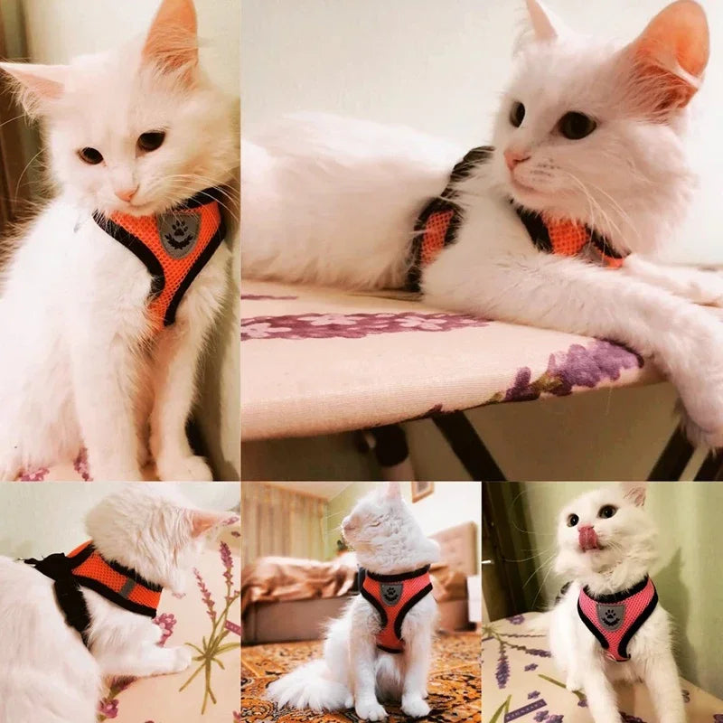 Summer Cat Dog Harness Lead Leash Adjustable Vest - Empire P.E