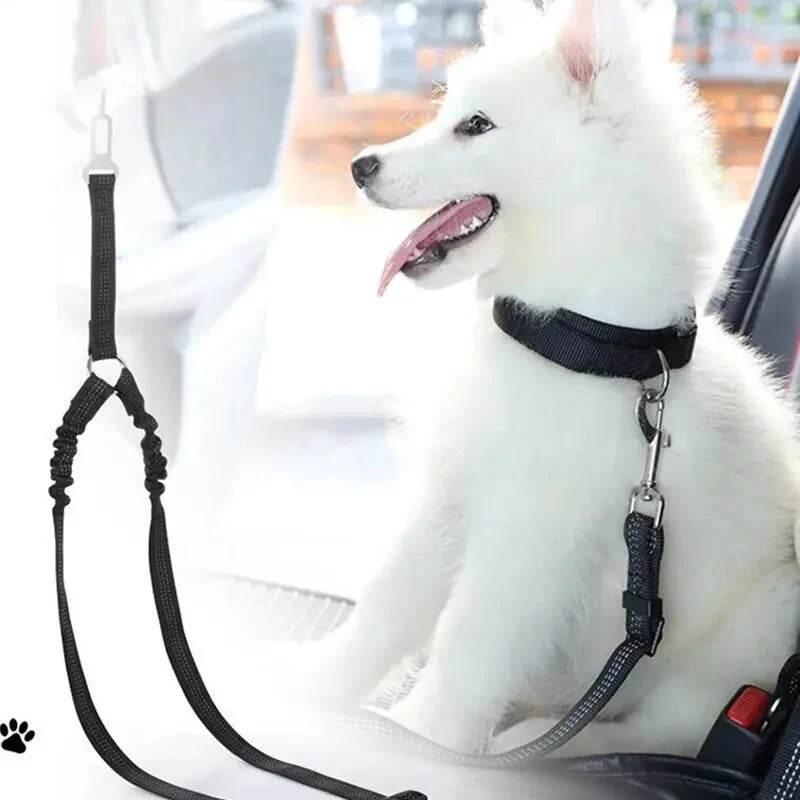 Pet Three-head Leash, Can Walk Two Pets At The Same Time, Nylon Retractable Leash Outdoor Car Dog Cat Leash - Empire P.E