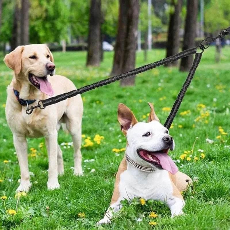 Pet Three-head Leash, Can Walk Two Pets At The Same Time, Nylon Retractable Leash Outdoor Car Dog Cat Leash - Empire P.E