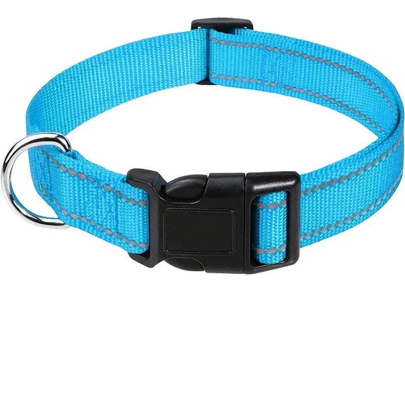 Collars for Dogs Choker Small Dog Collar - Empire P.E