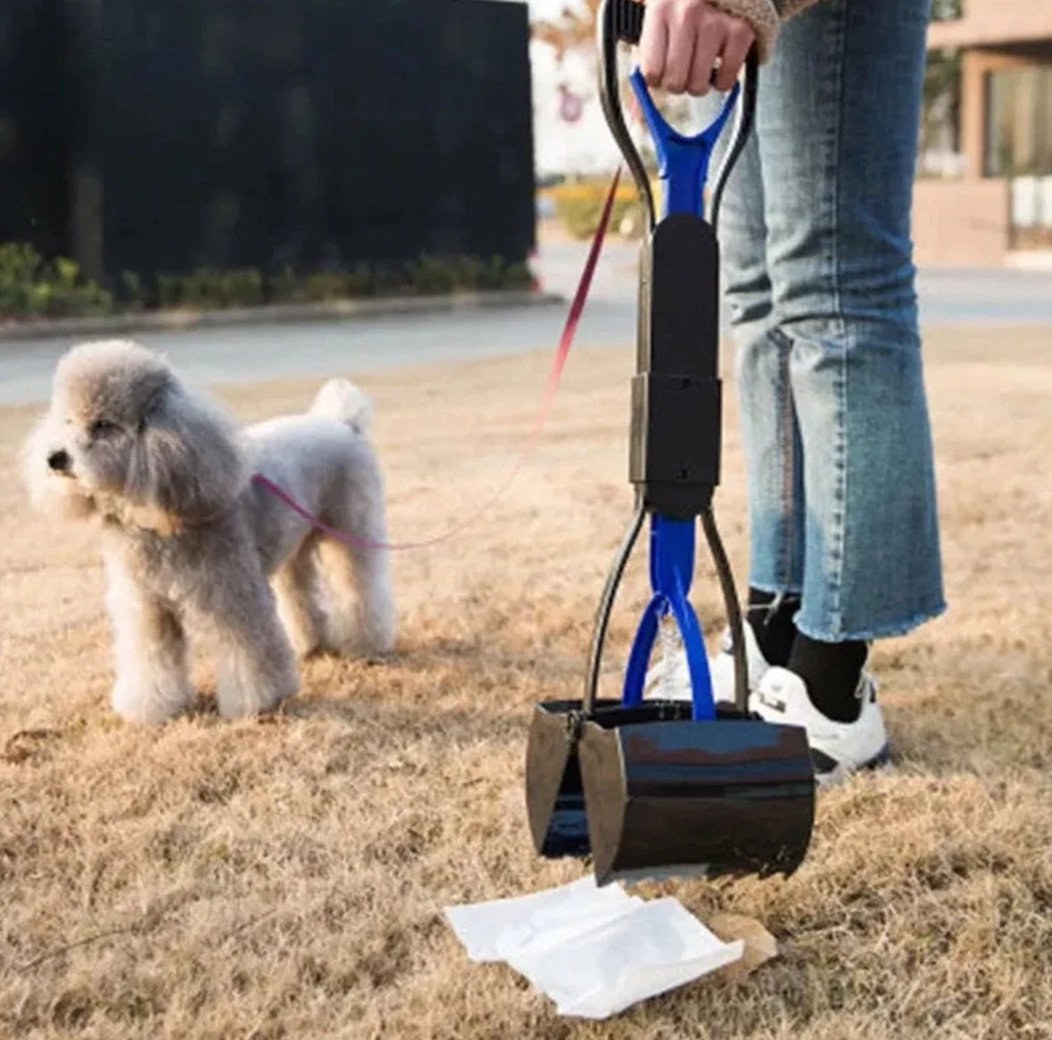 Pet Care & Supplies