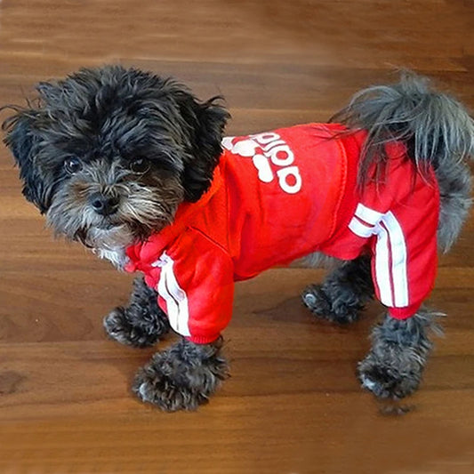 Winter Dog Sweatshirt Coat