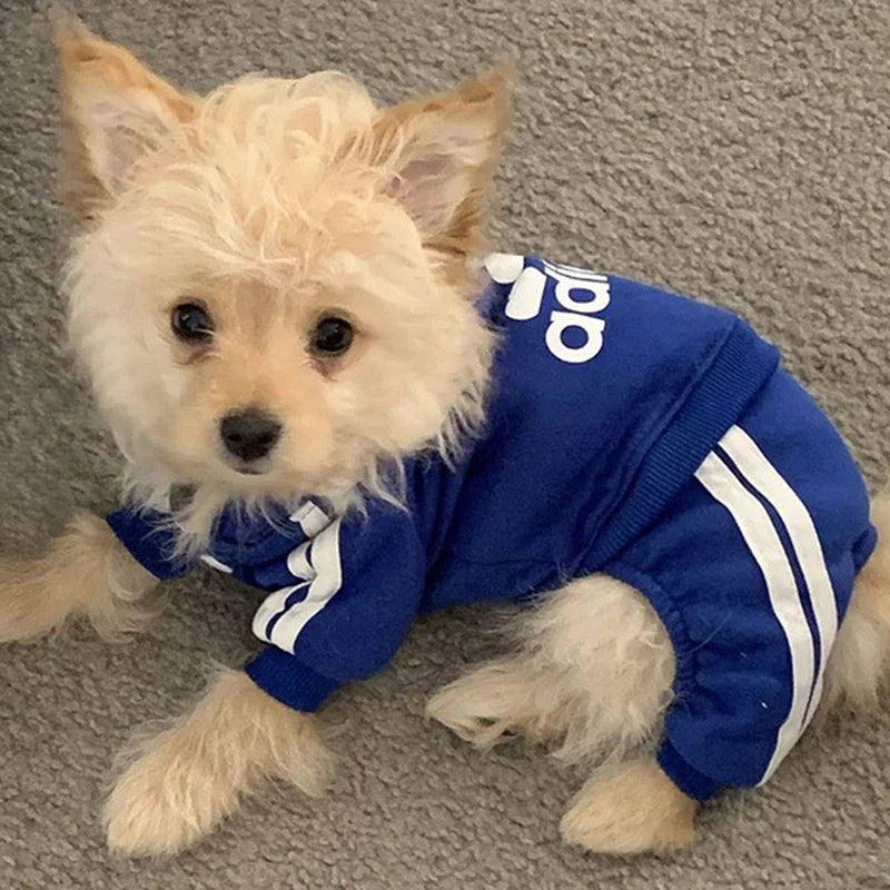 Winter Dog Sweatshirt Coat